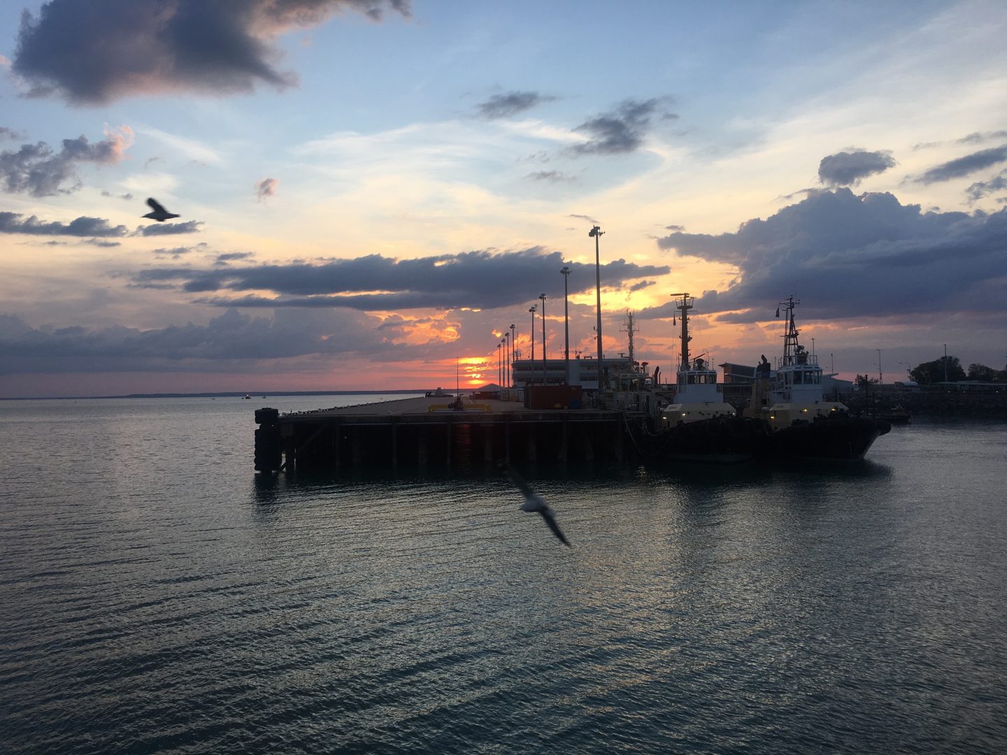 Crustaceans Sunset Darwin