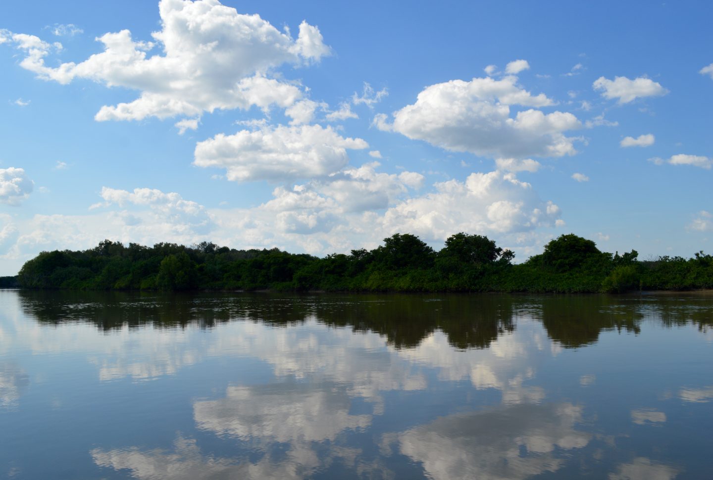 The Beautiful Adelaide River, Darwin