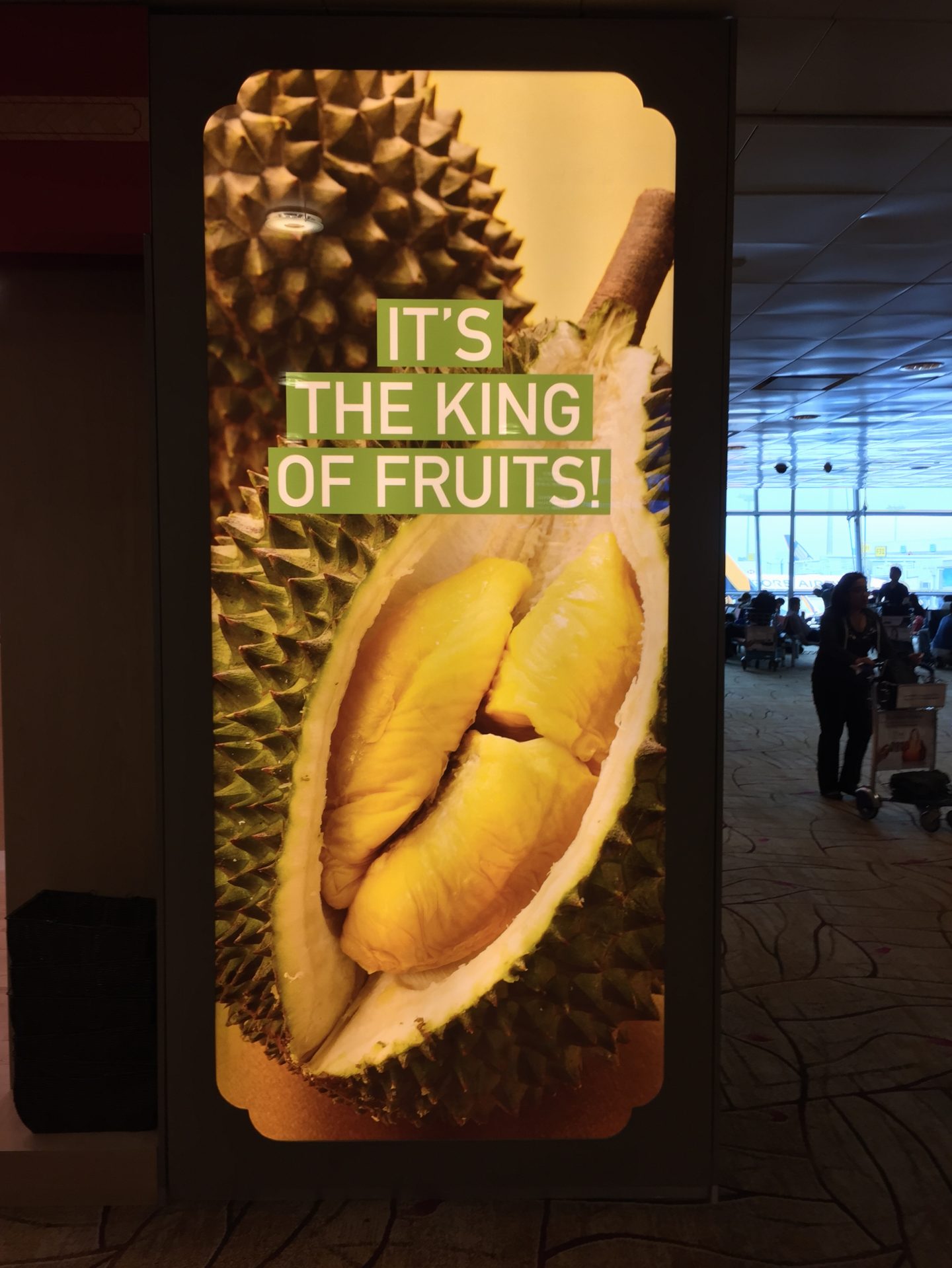 Durian King of Fruit Sign 