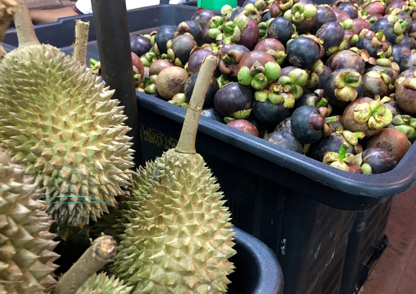 Durian and Mangosteens for sale in Singapore