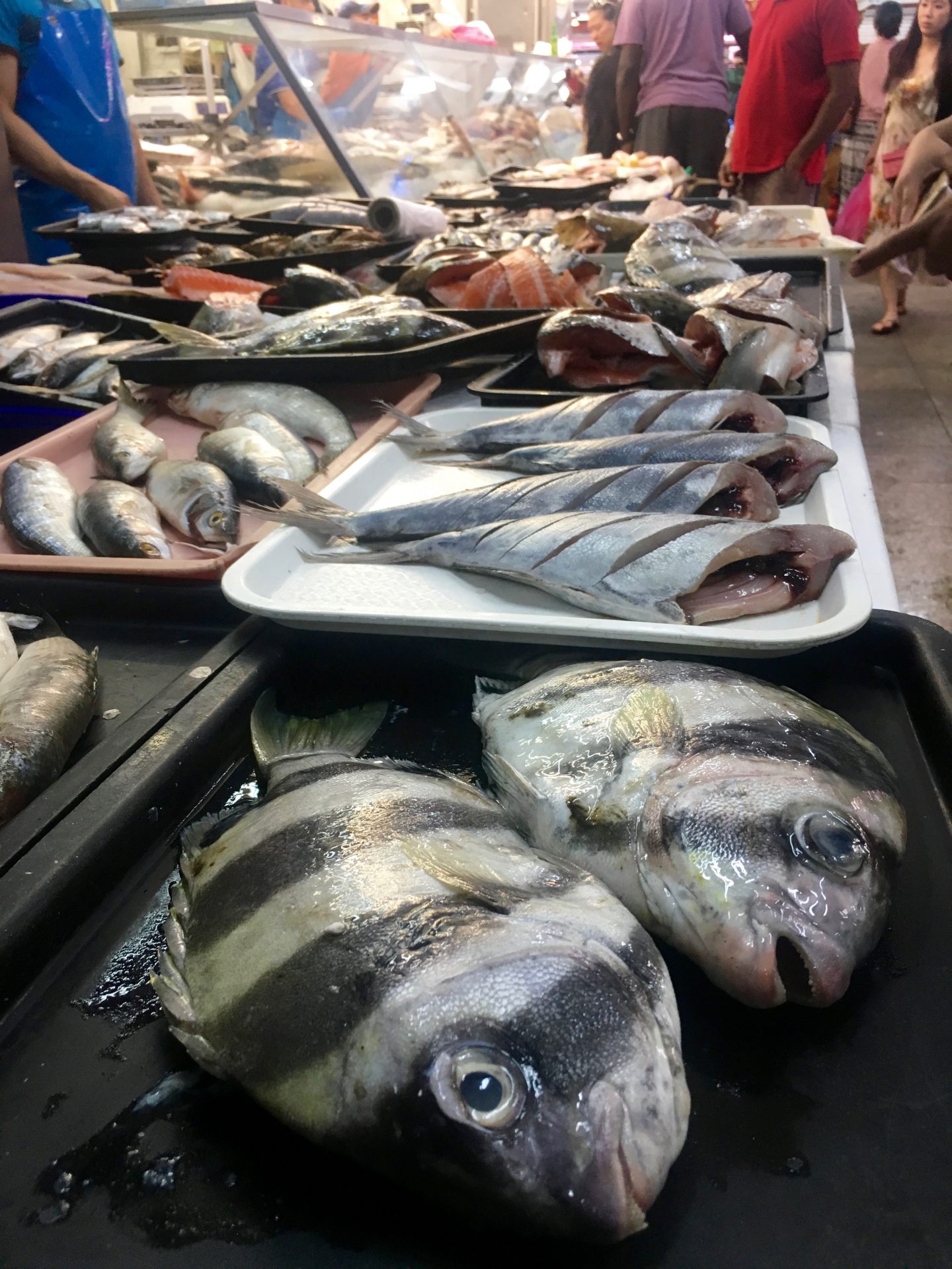 Fresh fish at Footscray Market