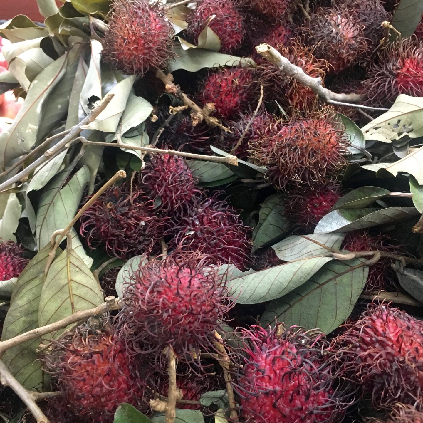 Rambutan for sale at Footscray Market