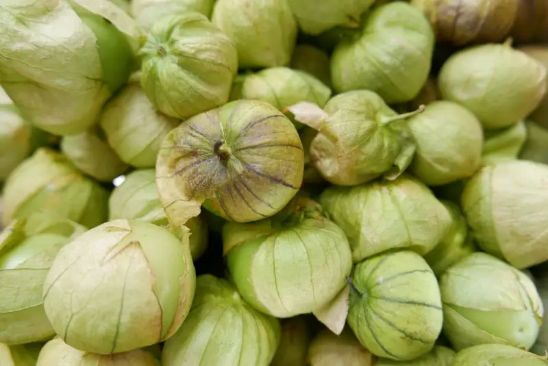 riverford tomatillos