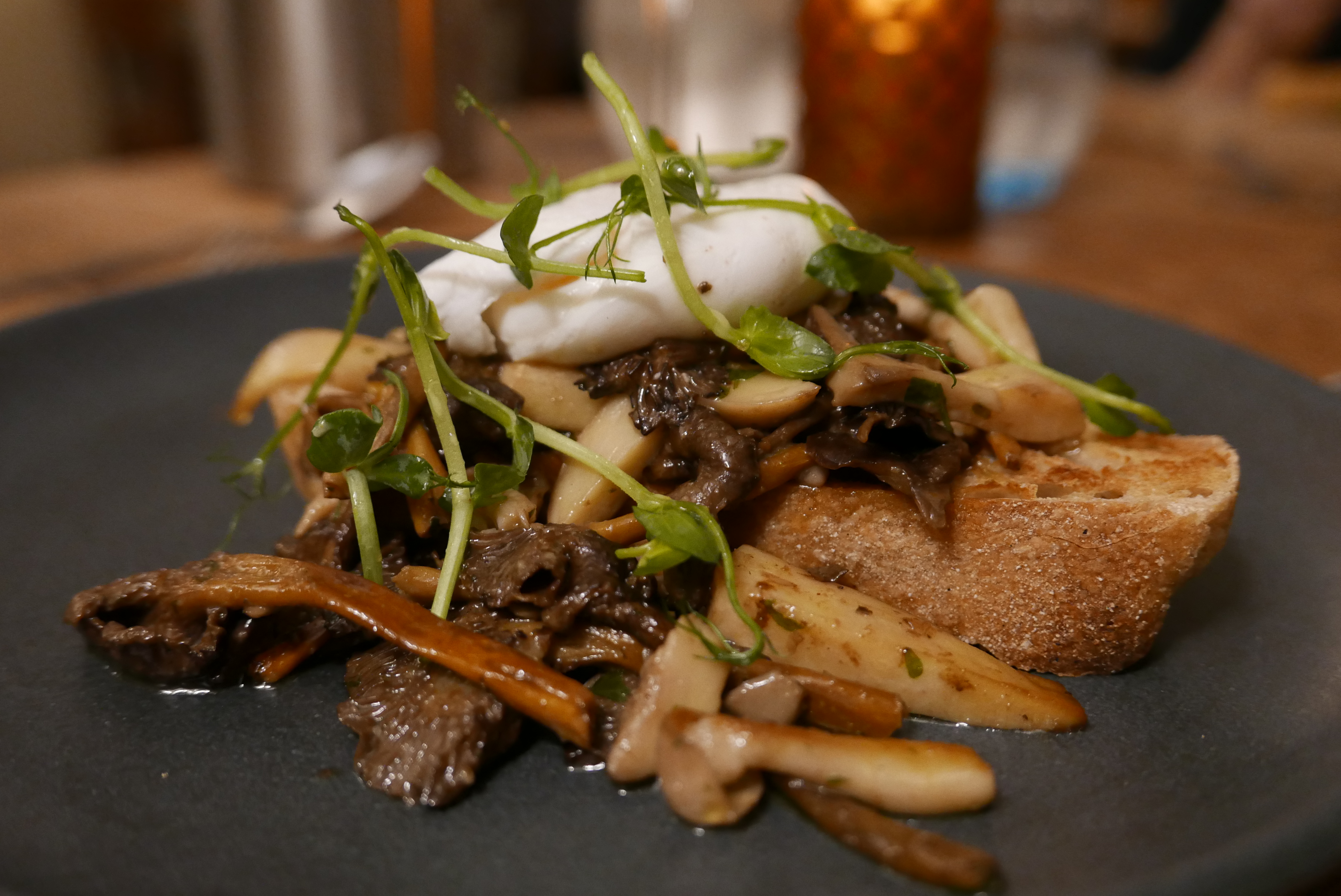 Forest Mushrooms on toast with a poached egg