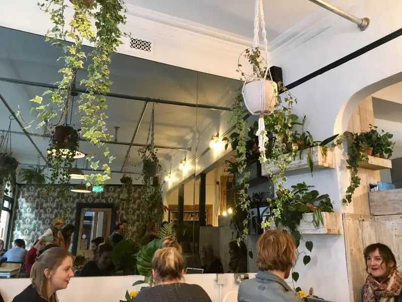 Leafy interiors at White's Botanicals cafe in Bristol