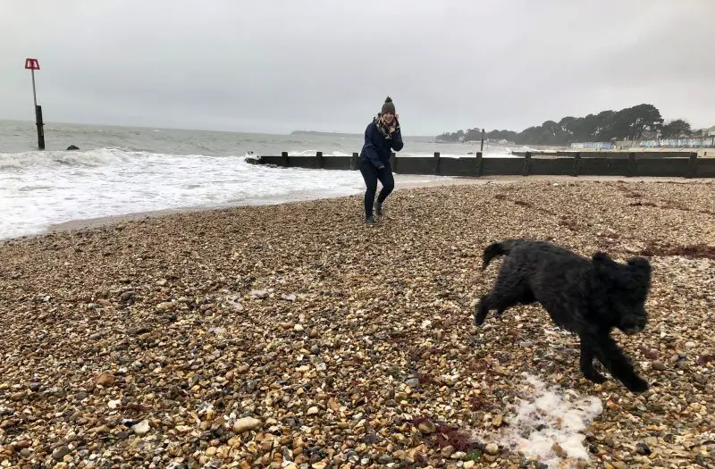 Dog running on a cold beach