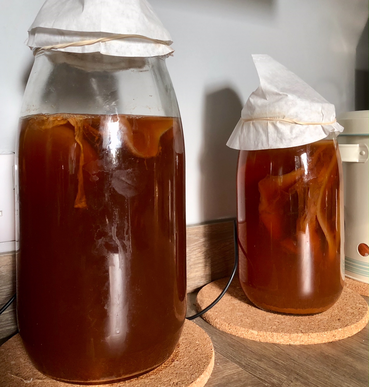 Kombucha and a Scoby Hotel