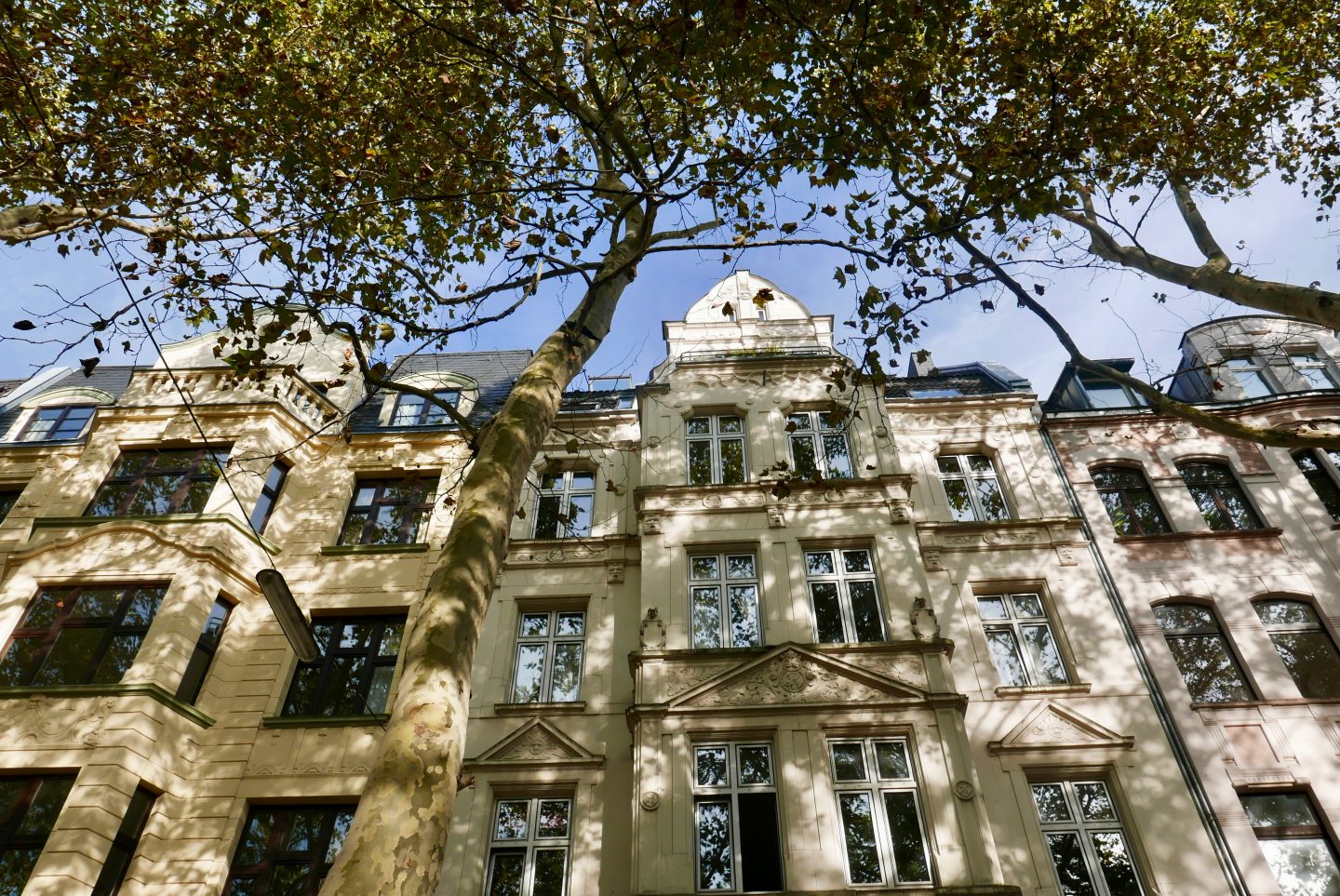 Blue skies in an Autumnal Cologne