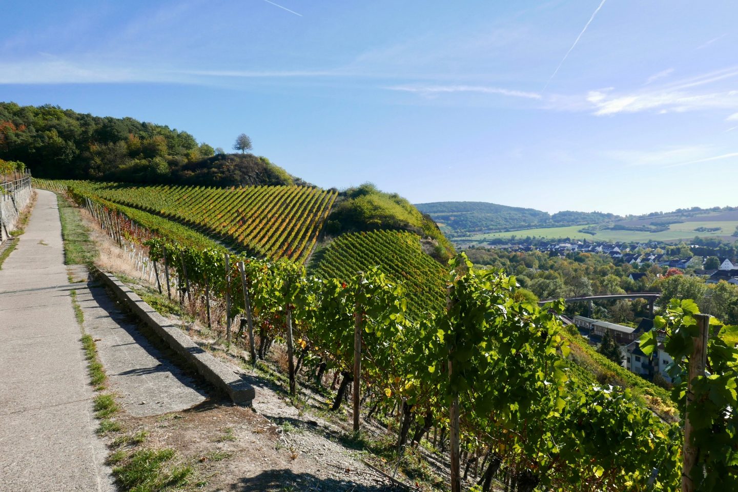 Rotweinwanderweg near Heppingen