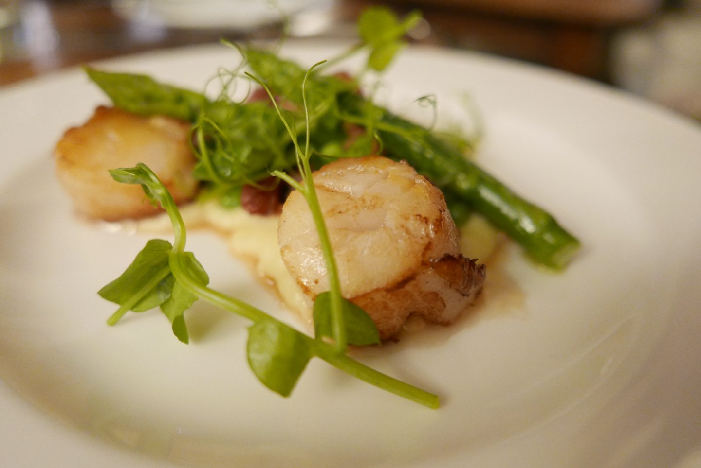 Scallops with parsnip puree, asparagus and peas and pancetta