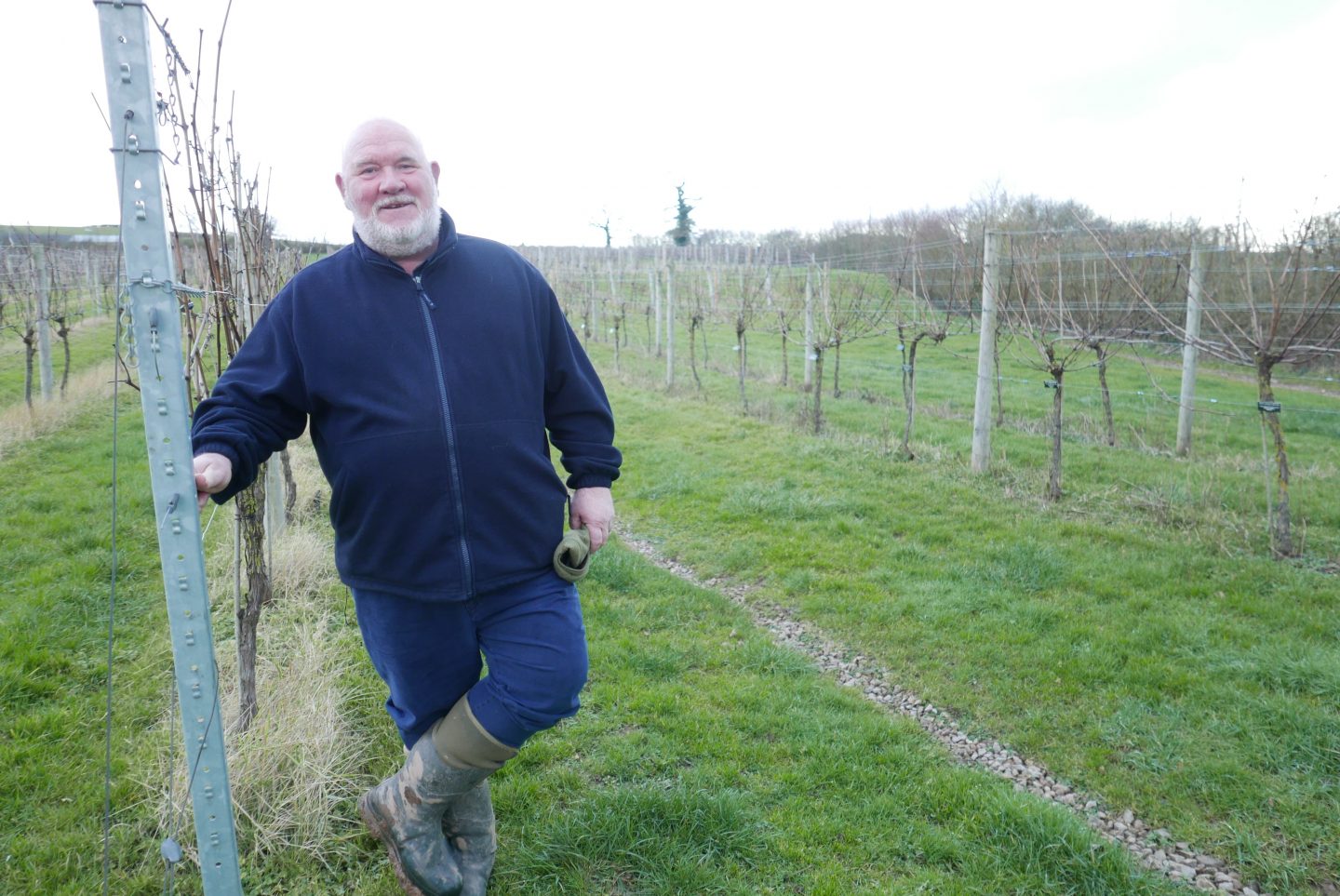 Robb Marchant of White Castle Vineyard