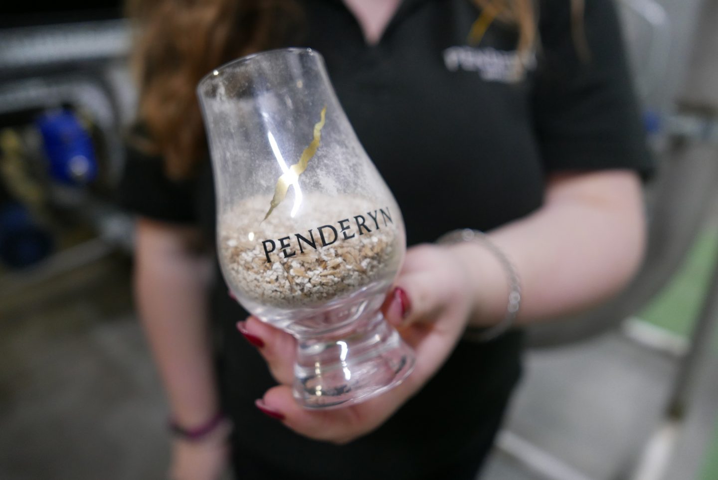 Touring the welsh whisky Penderyn distillery