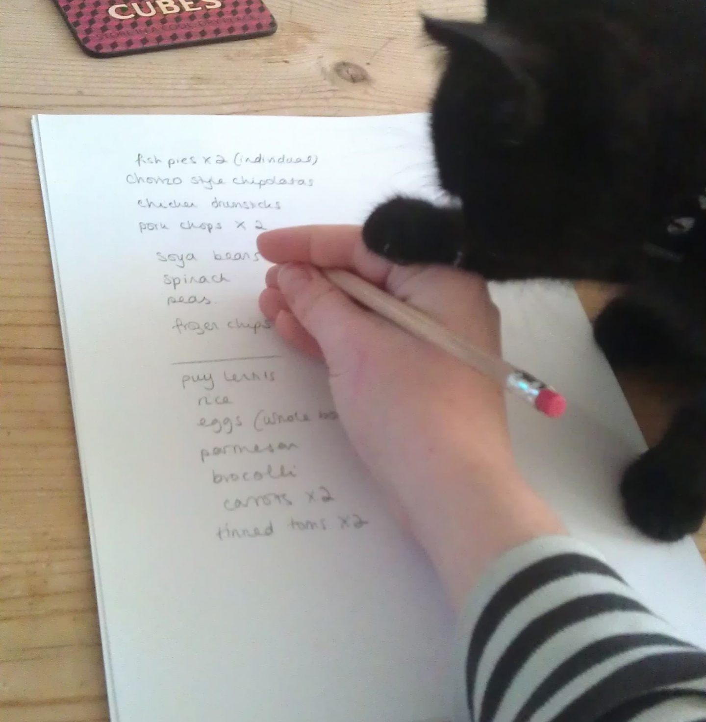 Meal planning with a kitten!