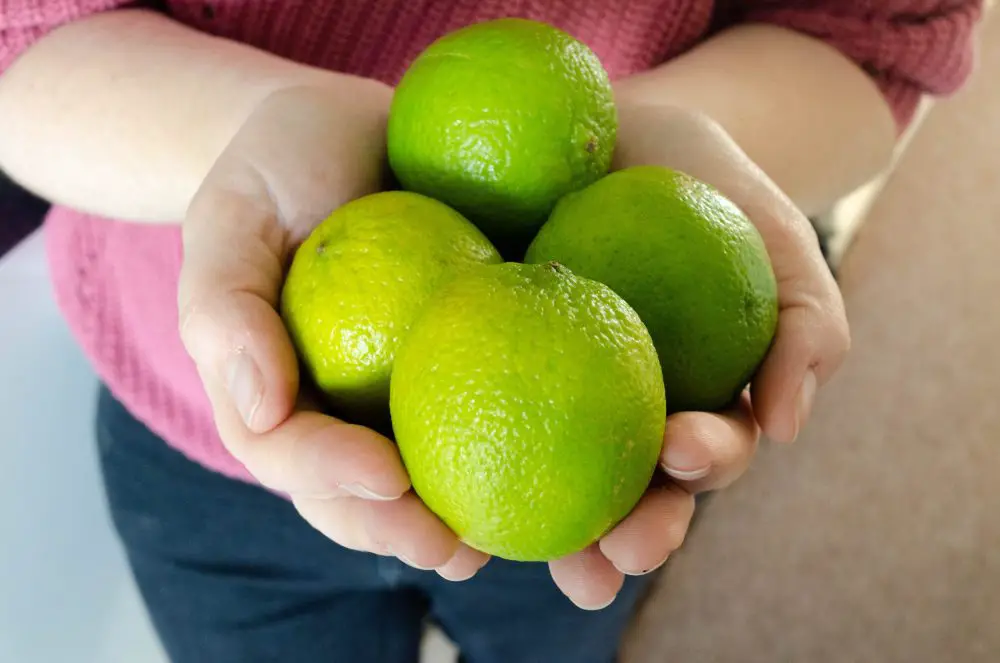 Fresh limes in my hands