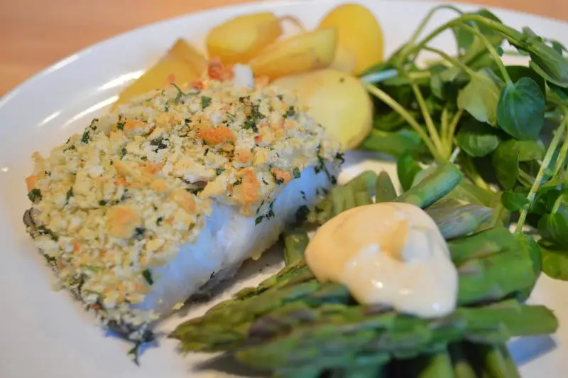 Gingey Bites Cod with a lemon dijon mustard crust