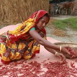 Oxfam: Empowering female chilli growers in Bangladesh