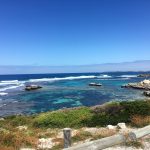 Day tripping on Rottnest Island