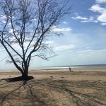 Thoughts on Darwin, Northern Territory, Australia