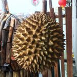 Durian… the King of Fruit.