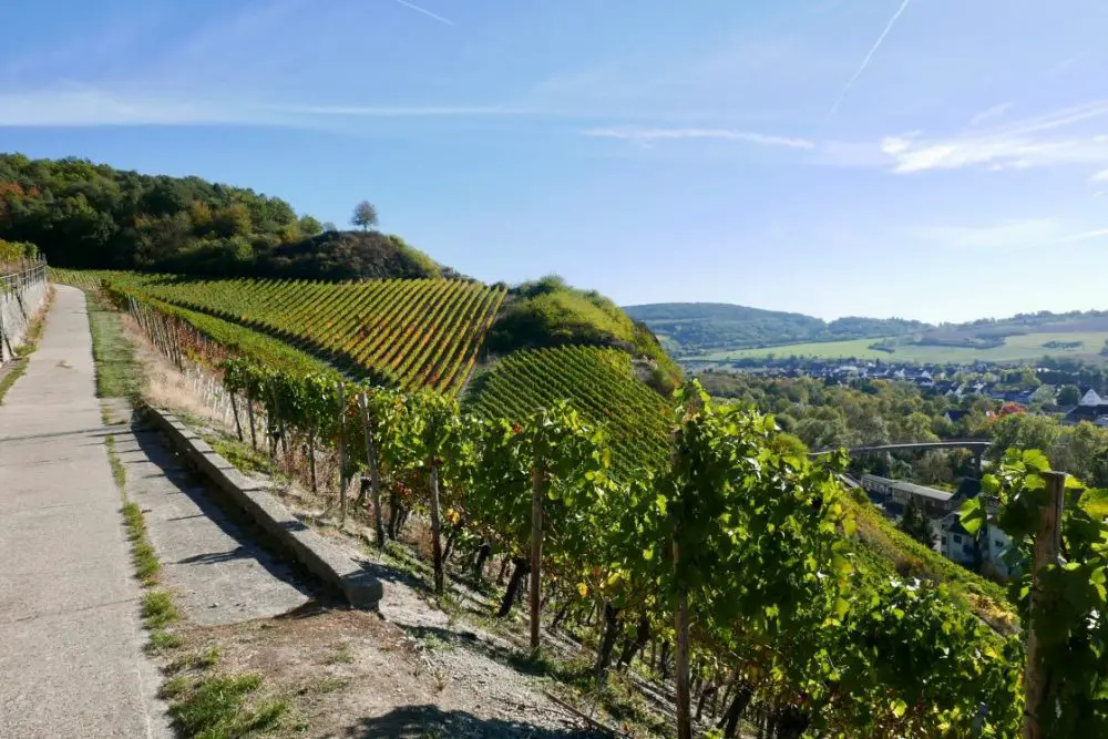 Beautiful views over the Rotweinwanderweg