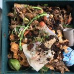 Tips for living a zero food waste life