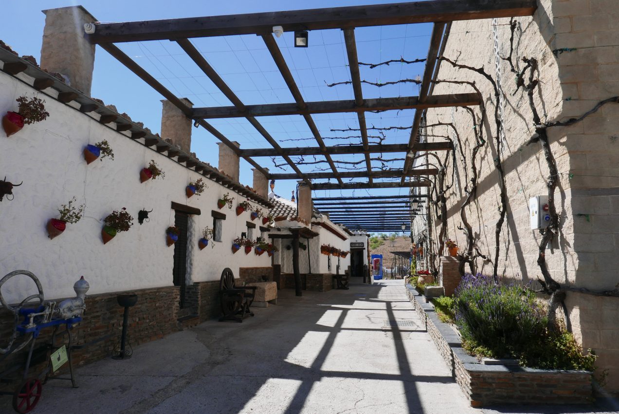 Blue skies outside  Bodega Cuatro Vientos in Costa Tropical, Spain