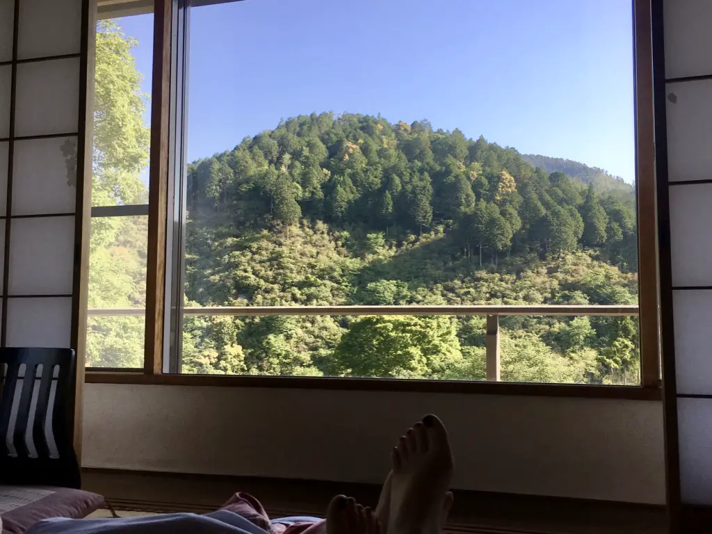 Our morning view from the Momijiya Ryokan