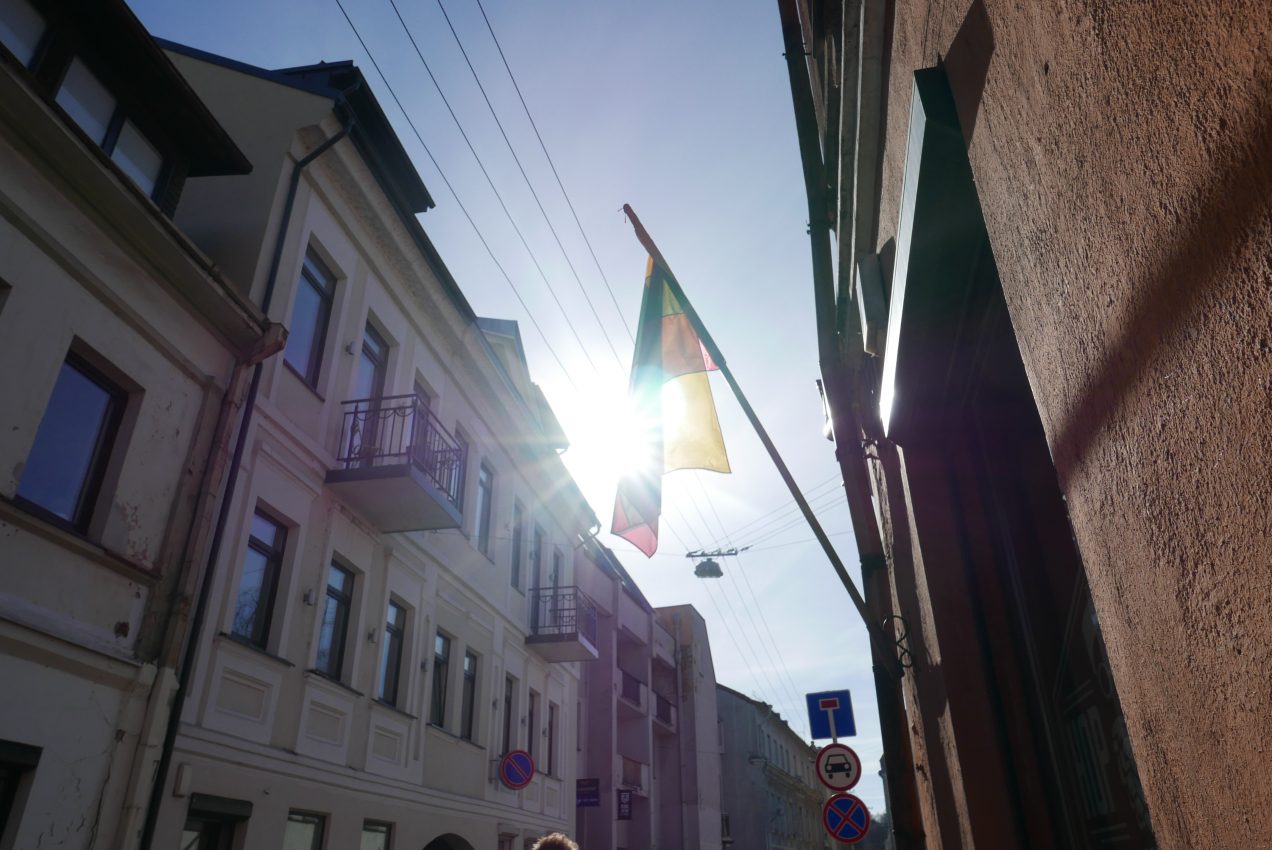 Lithuanian flag shining in the afternoon sun