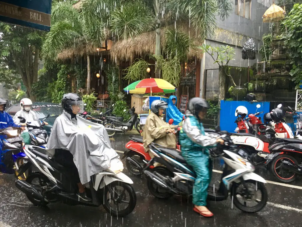 Ubud in the rainy season