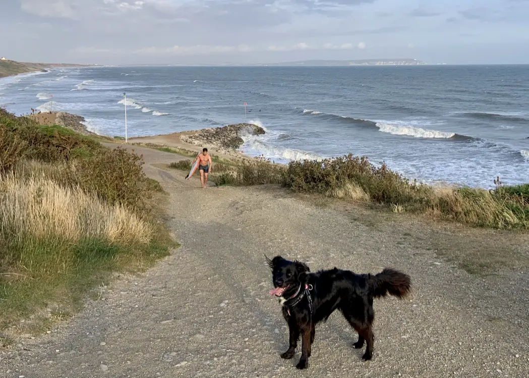 Enjoying the view at New Milton with Bonnie the dog