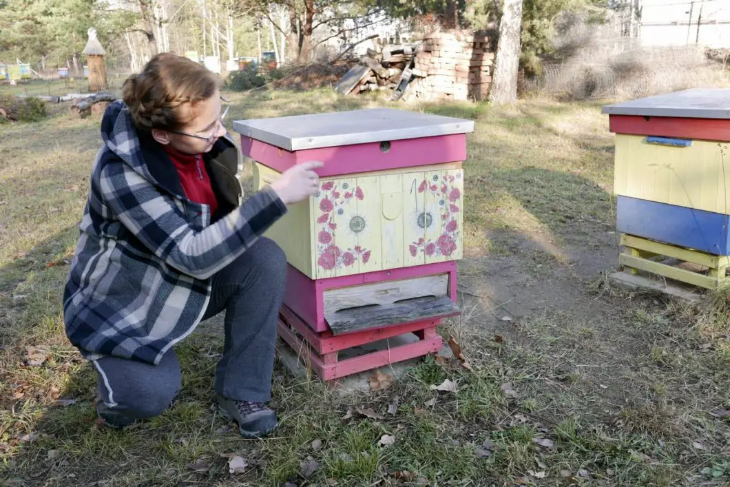 Anna Czynszak and a bee hive