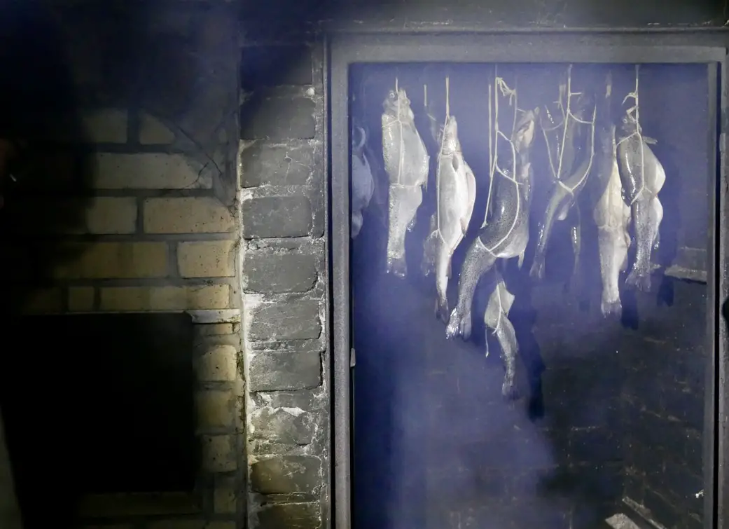 Trout smoking in a traditional Polish smokehouse