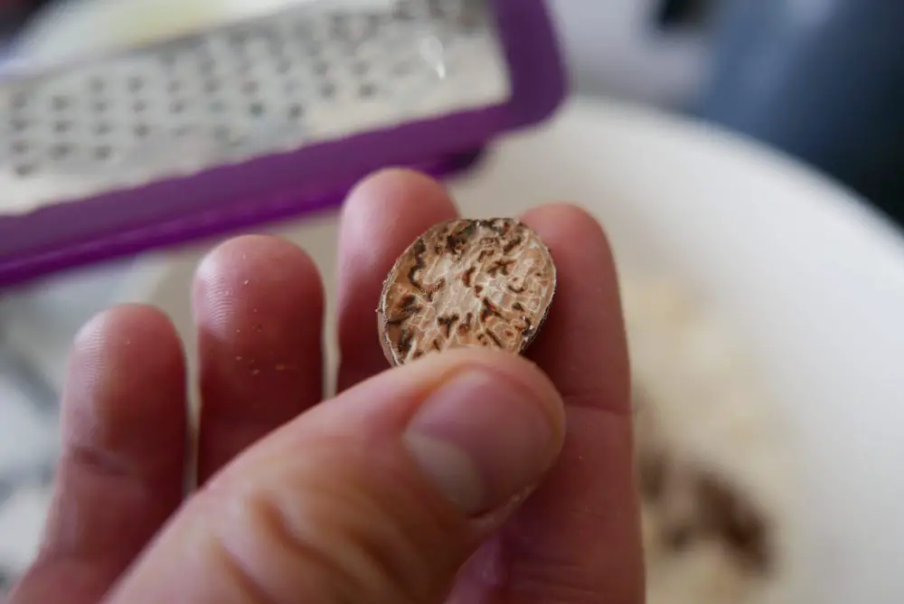 Grating fresh nutmeg