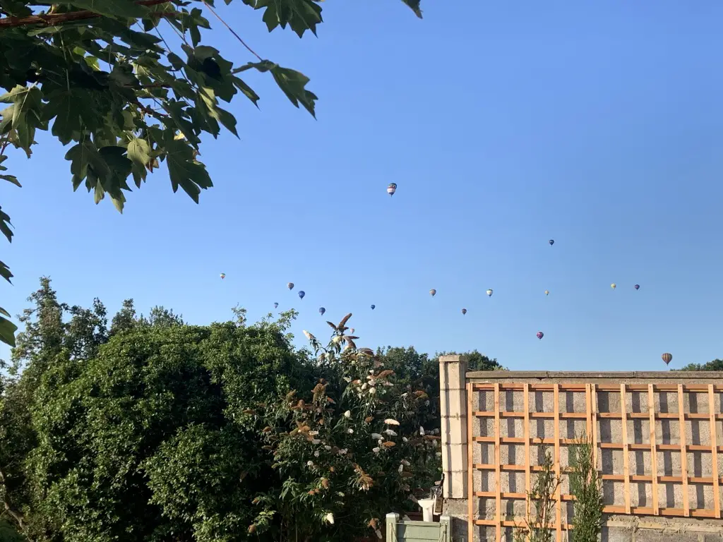 Balloons over Bristol