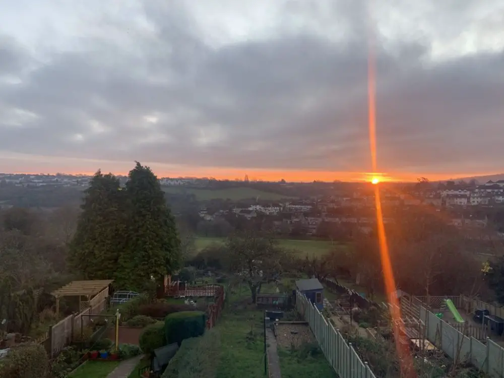 Sunrise over the garden