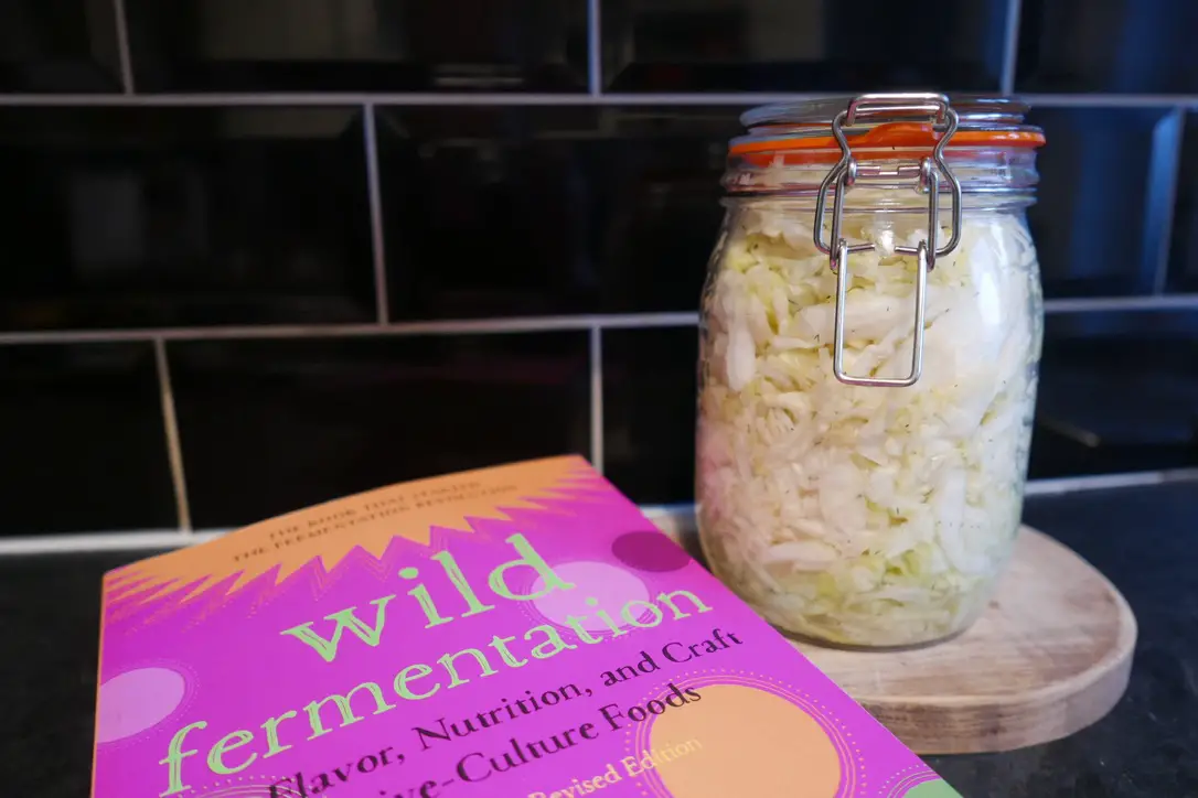 Sandor Katz Wild Fermentation book