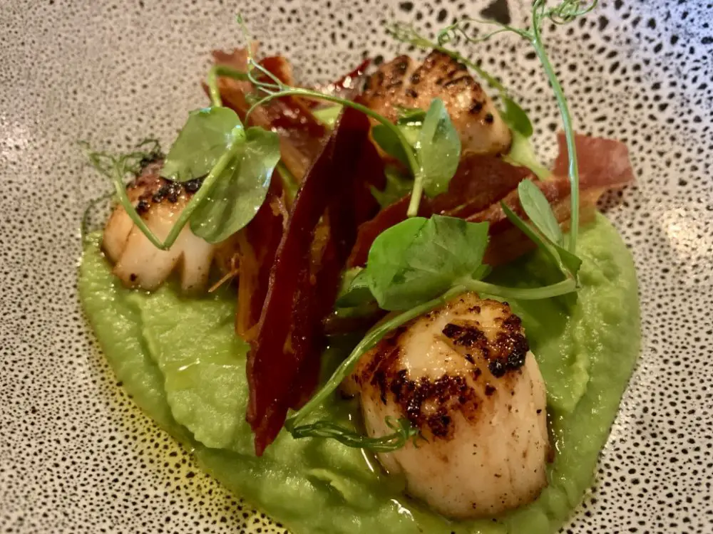 pan fried scallops