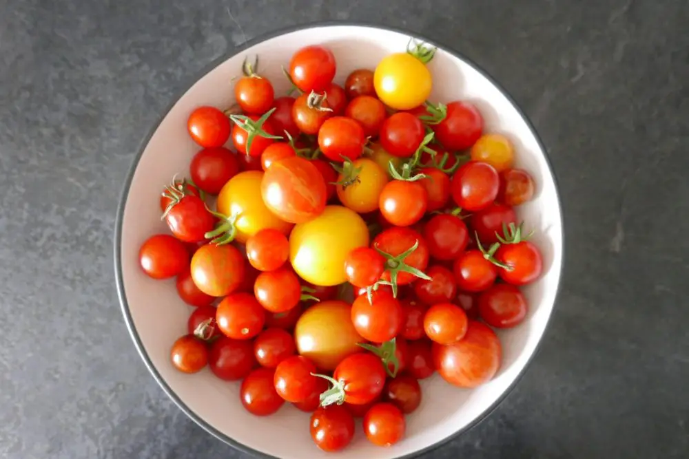 Tomatoes from the garden