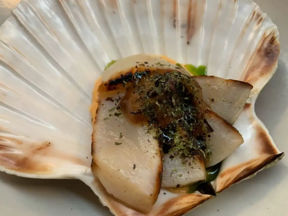 Orkney scallop with miso beurre noisette at The Pony Bistro in Bristol