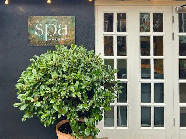 Doors to the Spa at Bishopstrow hotel with a large plant in the foreground