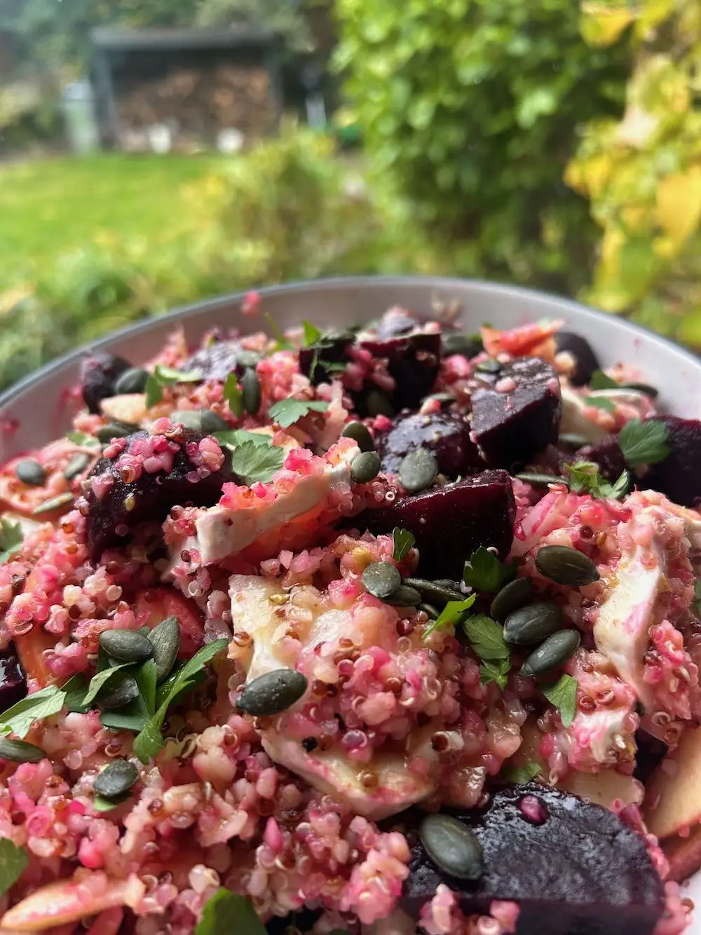 Warm beetroot and goats cheese with quinoa, being held up to the window in a big bowl